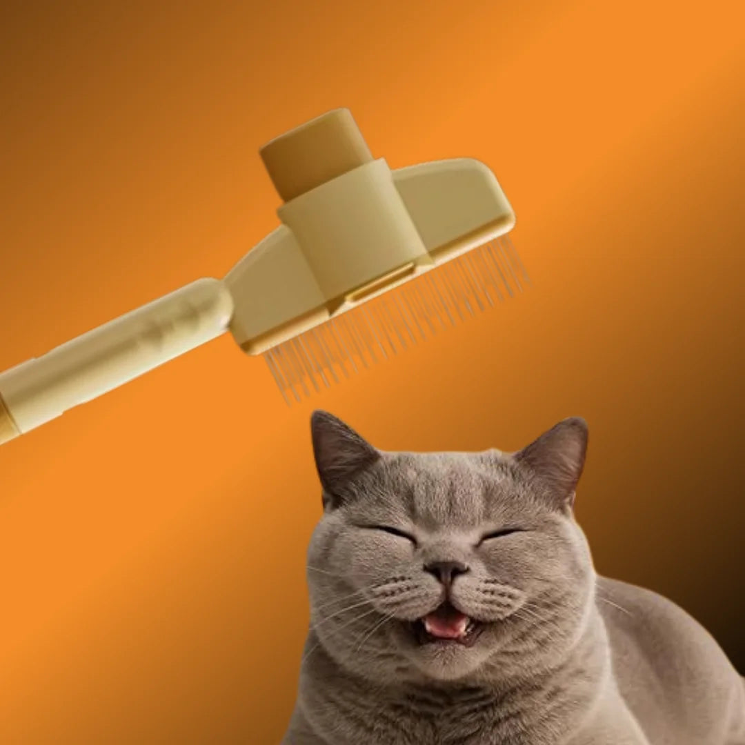 Pawfect Brush