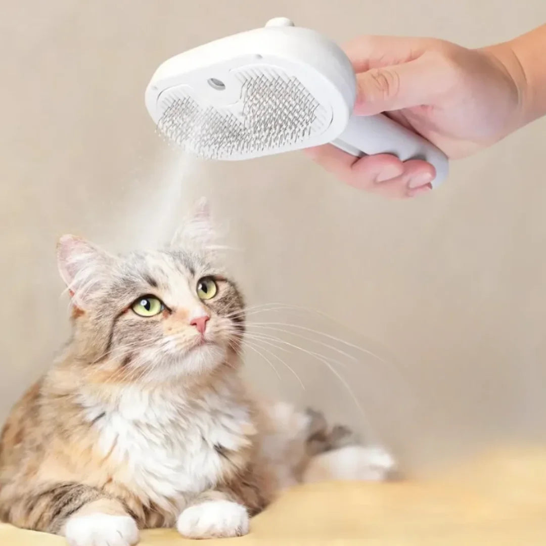 Pawfect Glide