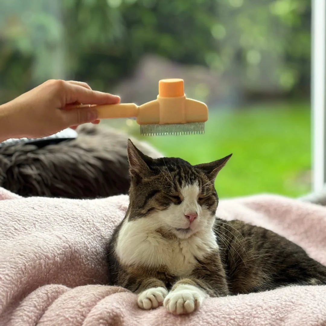 Pawfect Brush