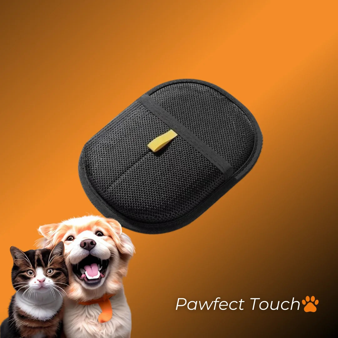 Pawfect Touch🐾
