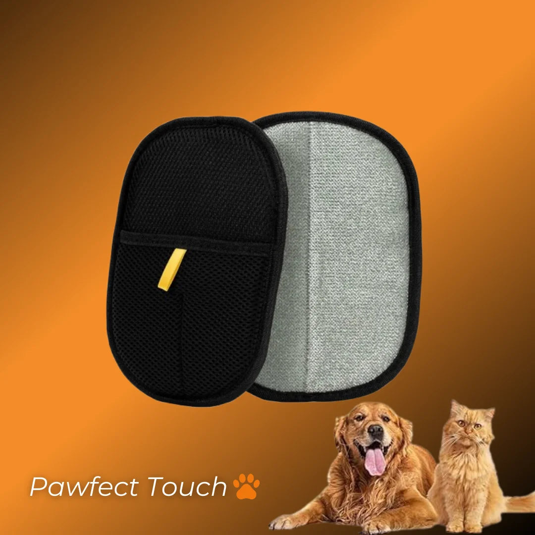 Pawfect Touch🐾