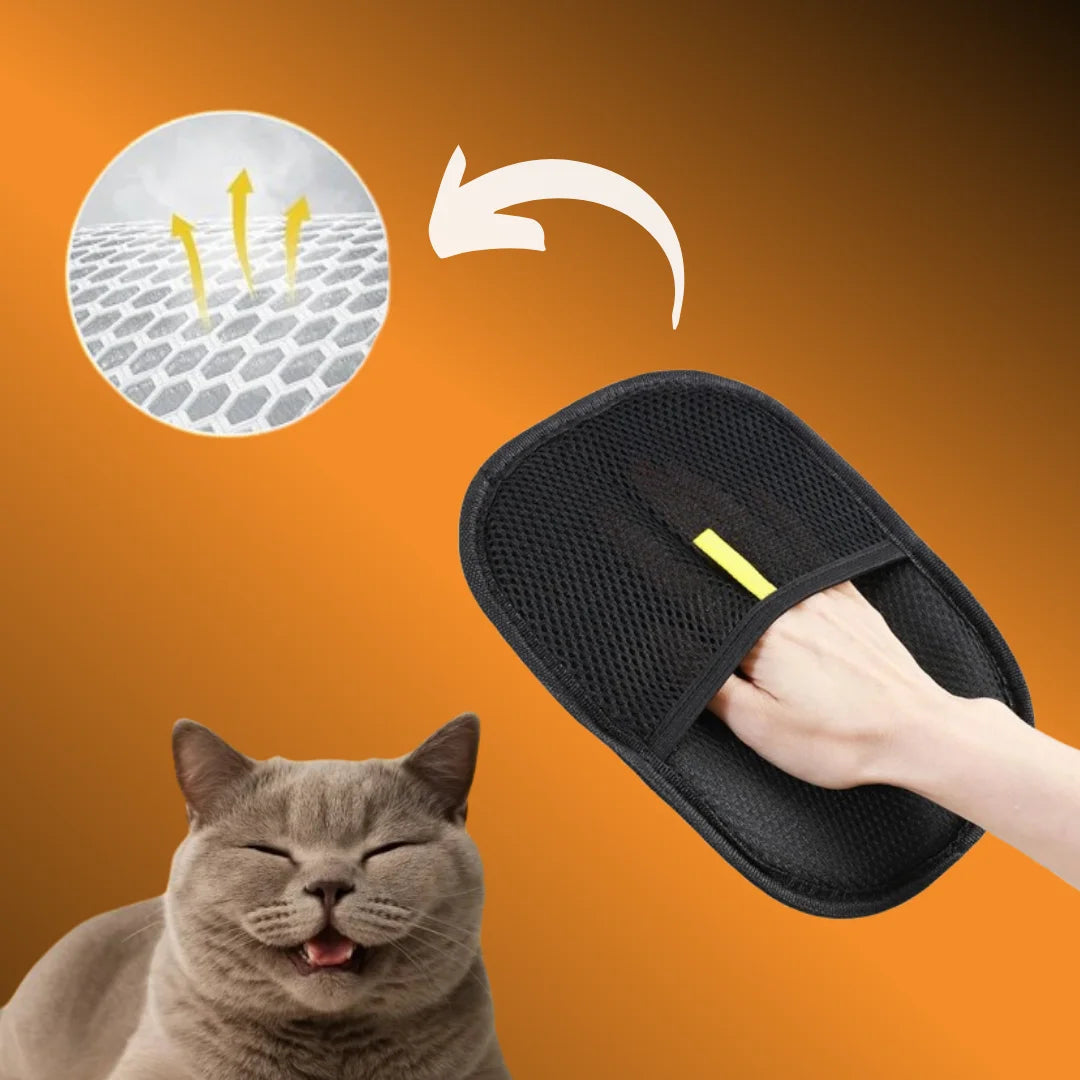 Pawfect Touch🐾