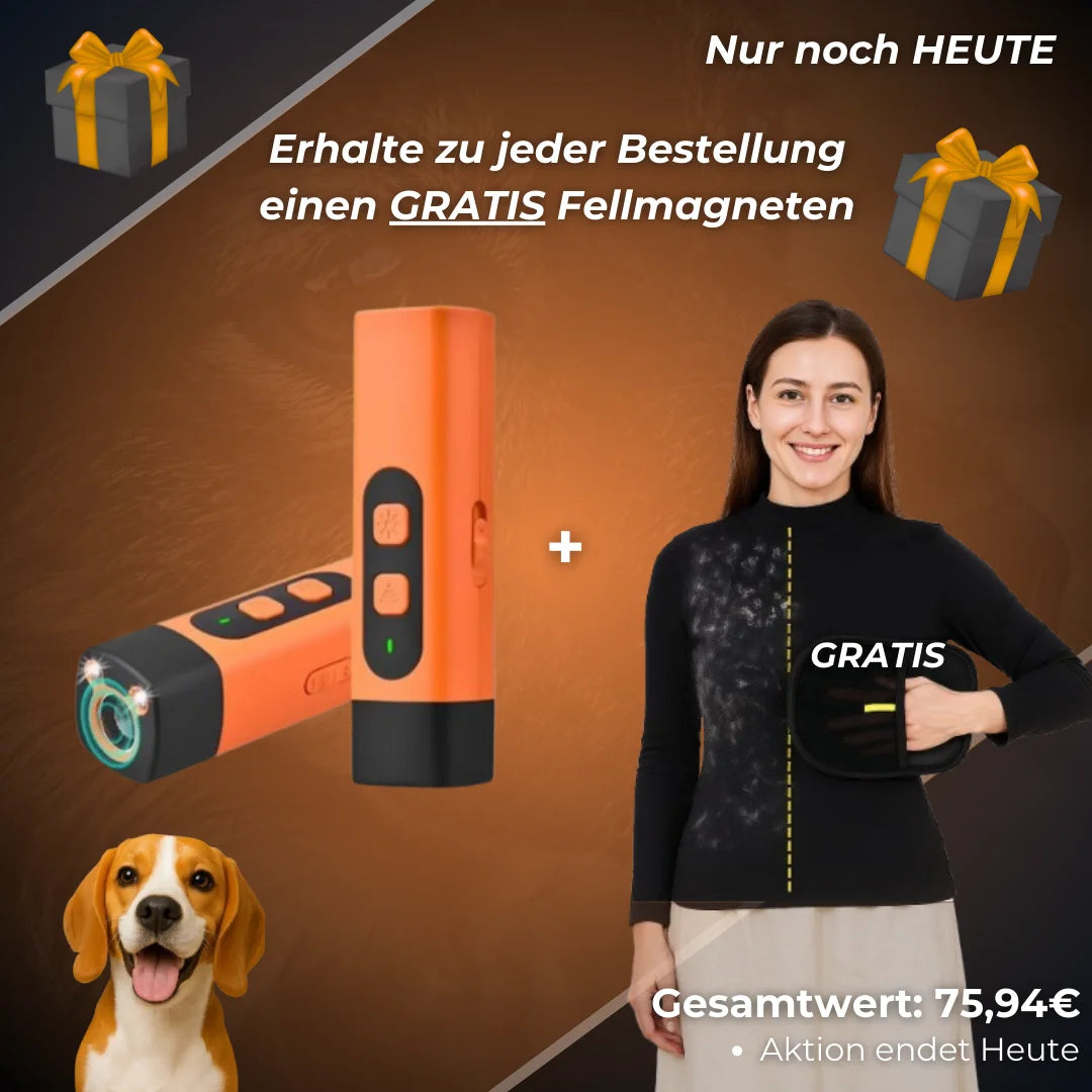 Bellux Pro - Endlich Ruhe ohne Reue