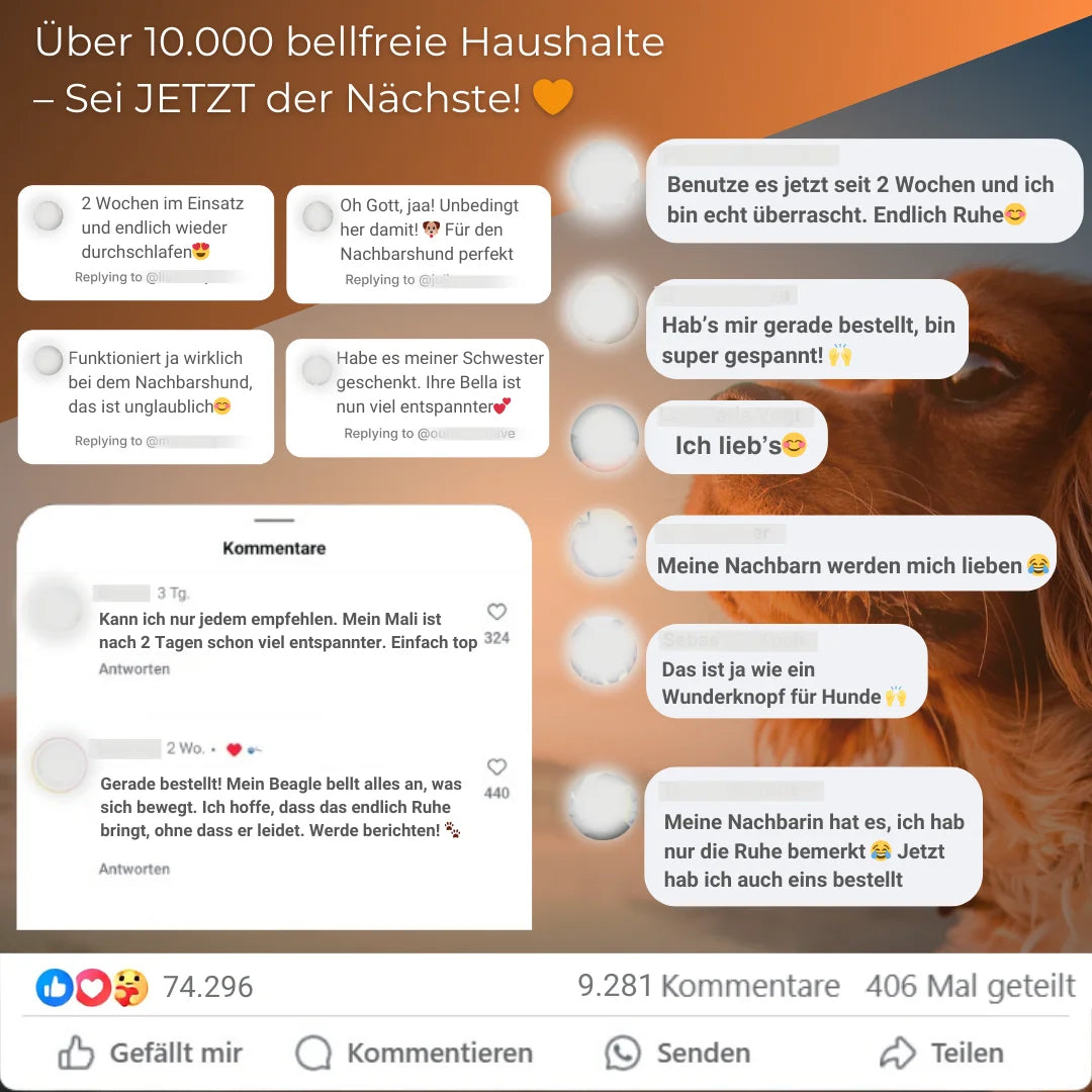 Bellux Pro - Endlich Ruhe ohne Reue
