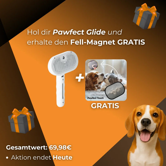 Pawfect Glide