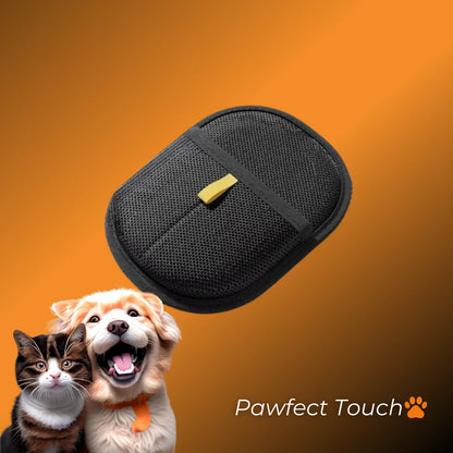 Pawfect Touch🐾